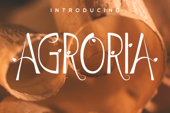 Agroria: A Display Font That Feels Human in Fast-Scrolling Feeds
