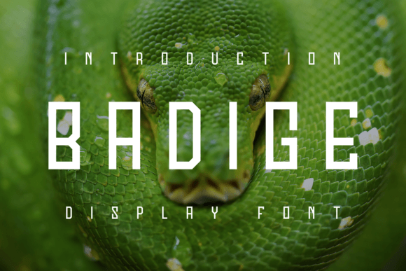 Badige Display Font for Handmade Labels & Printables