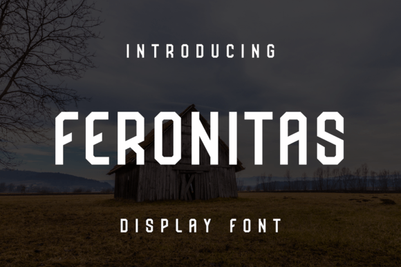 Feronitas: A Distinctive Display Font for Digital Branding