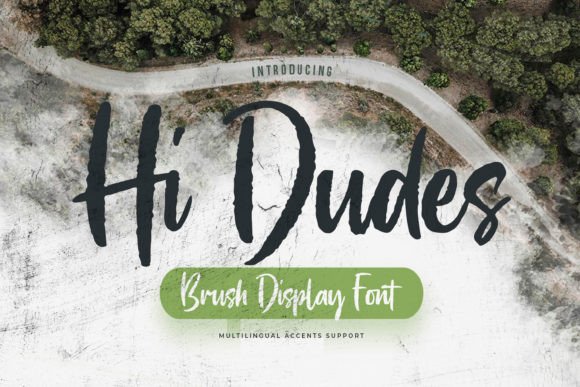 Hi Dudes: A Textured Display Font for Bold Digital Identity