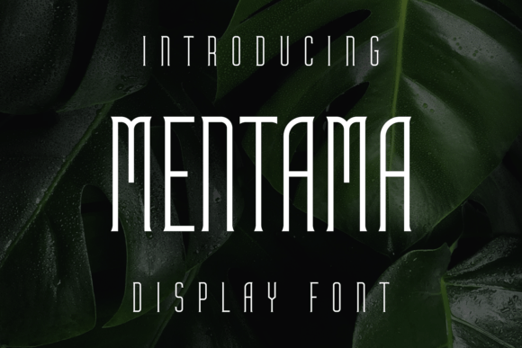 Mentama: A Display Font That Cuts Through the Feed